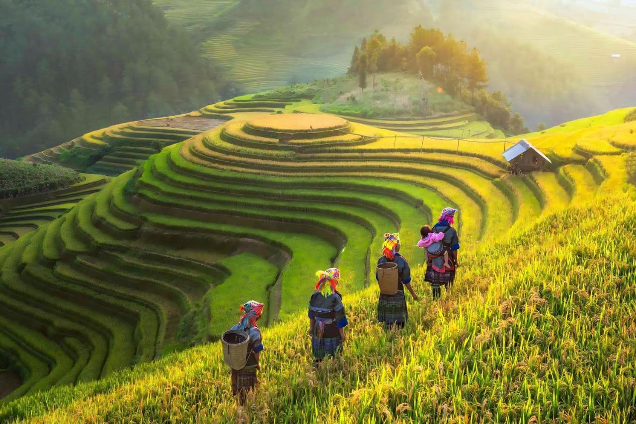 Central Sapa Charm Hotel Экстерьер фото