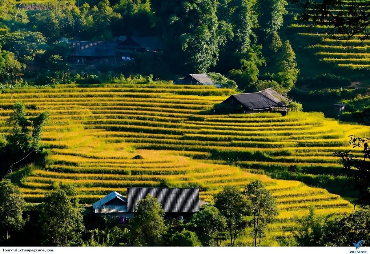 Central Sapa Charm Hotel Экстерьер фото
